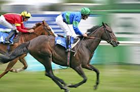 How To Bet On Horse Racing