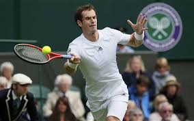 wimbledon - murray odds