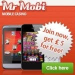 Mr Mobi Review