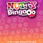 Nutty Bingo Review
