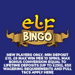 Elf Bingo Review