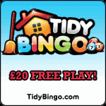 Tidy Bingo Review