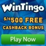 Wintingo Review