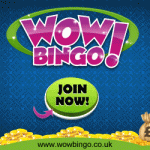 Wow Bingo Review