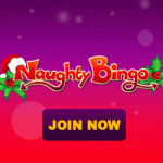 Naughty Bingo Review