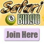 Safari Bingo Review