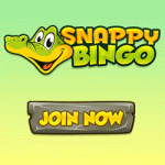 Snappy Bingo Review