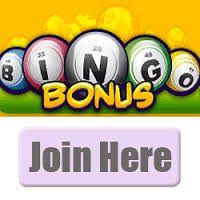 Bingo Bonus Review