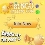 Bingo Calling Review