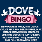 Dove Bingo Review