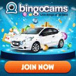 Bingocams Review