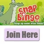 Snap Bingo Review