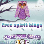 Free Spirit Bingo Review