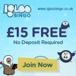Igloo Bingo Review