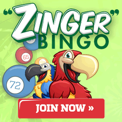 Zinger Bingo Review